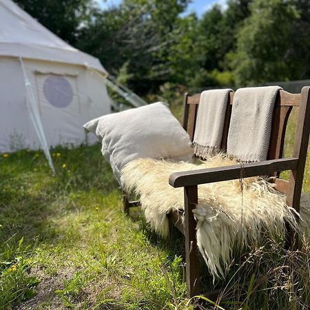 Glamping Pa Amager Hotel ดราเออเยอร์ ภายนอก รูปภาพ